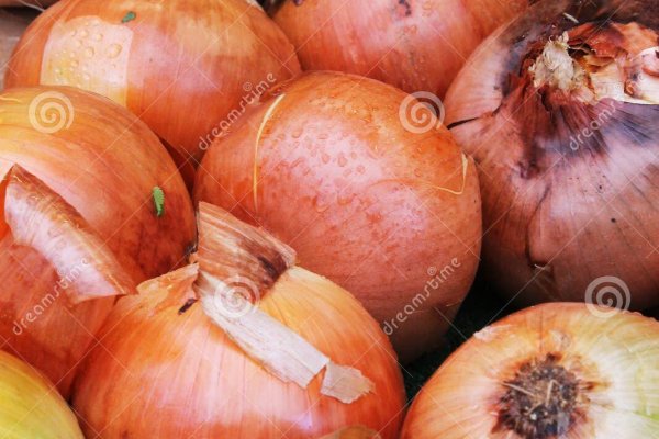 darknet markets onion